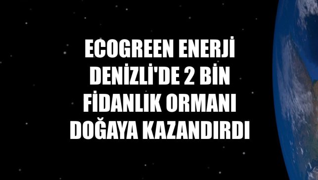 Ecogreen Enerji Denizli'de 2 bin fidanlık ormanı doğaya kazandırdı