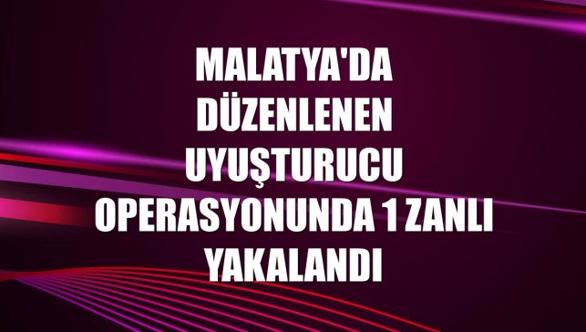 Malatya'da düzenlenen uyuşturucu operasyonunda 1 zanlı yakalandı