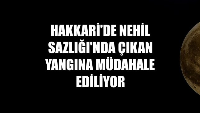 Hakkari'de Nehil Sazlığı'nda çıkan yangına müdahale ediliyor