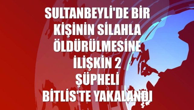 Sultanbeyli'de bir kişinin silahla öldürülmesine ilişkin 2 şüpheli Bitlis'te yakalandı