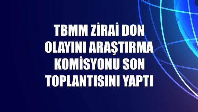 TBMM Zirai Don Olayını Araştırma Komisyonu son toplantısını yaptı