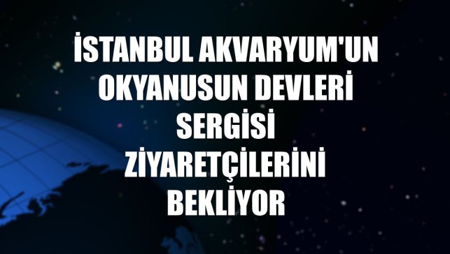 İstanbul Akvaryum'un Okyanusun Devleri sergisi ziyaretçilerini bekliyor