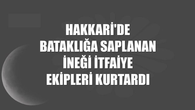 Hakkari'de bataklığa saplanan ineği itfaiye ekipleri kurtardı