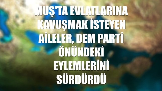 Muş'ta evlatlarına kavuşmak isteyen aileler, DEM Parti önündeki eylemlerini sürdürdü