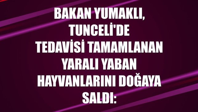 Bakan Yumaklı, Tunceli'de tedavisi tamamlanan yaralı yaban hayvanlarını doğaya saldı: