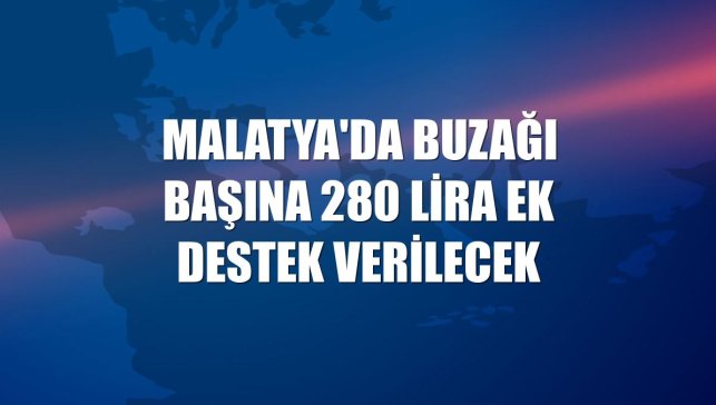 Malatya'da buzağı başına 280 lira ek destek verilecek