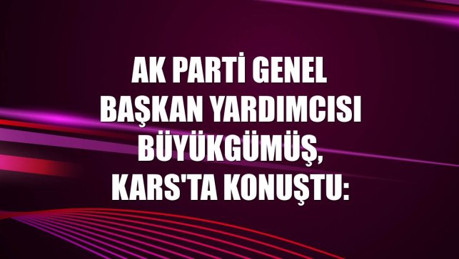 AK Parti Genel Başkan Yardımcısı Büyükgümüş, Kars'ta konuştu: