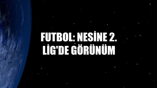 Futbol: Nesine 2. Lig'de görünüm