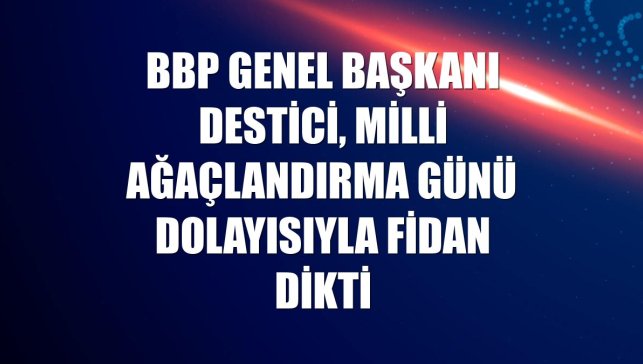 BBP Genel Başkanı Destici, Milli Ağaçlandırma Günü dolayısıyla fidan dikti