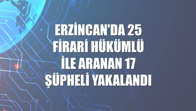 Erzincan'da 25 firari hükümlü ile aranan 17 şüpheli yakalandı