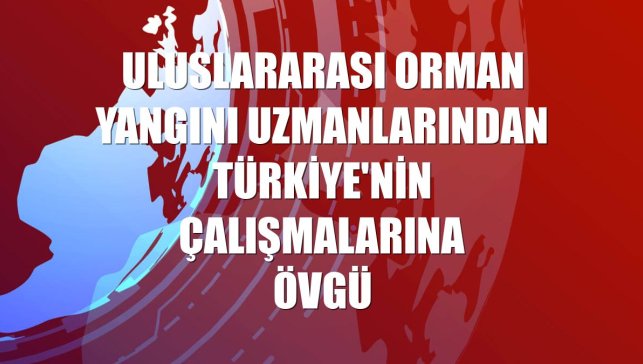 Uluslararası orman yangını uzmanlarından Türkiye'nin çalışmalarına övgü