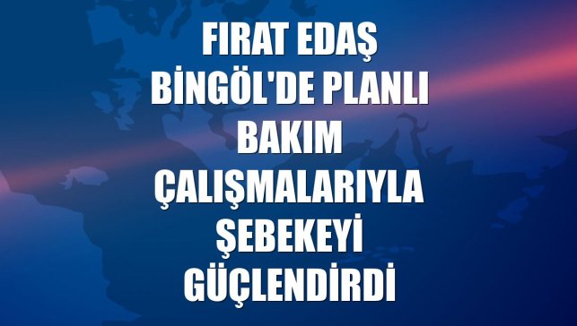 Fırat EDAŞ Bingöl'de planlı bakım çalışmalarıyla şebekeyi güçlendirdi