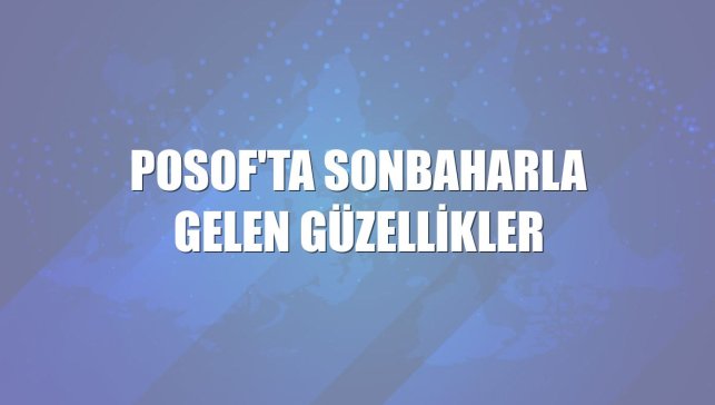 Posof'ta sonbaharla gelen güzellikler