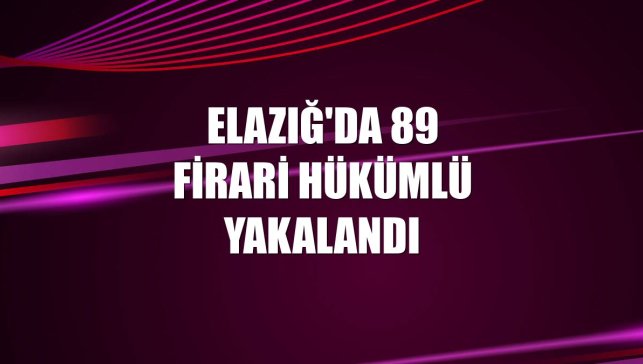 Elazığ'da 89 firari hükümlü yakalandı