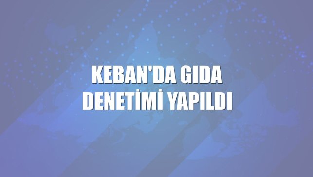 Keban'da gıda denetimi yapıldı