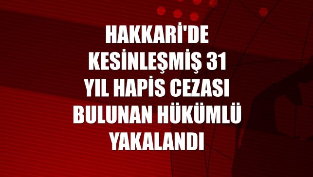 Hakkari'de kesinleşmiş 31 yıl hapis cezası bulunan hükümlü yakalandı