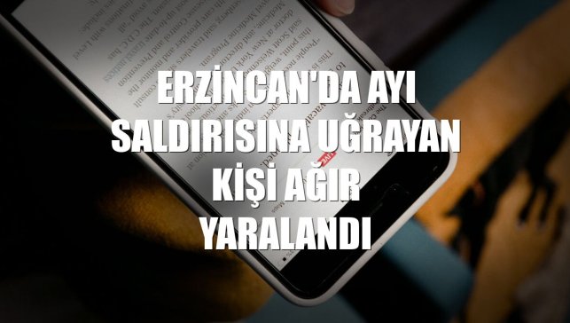 Erzincan'da ayı saldırısına uğrayan kişi ağır yaralandı
