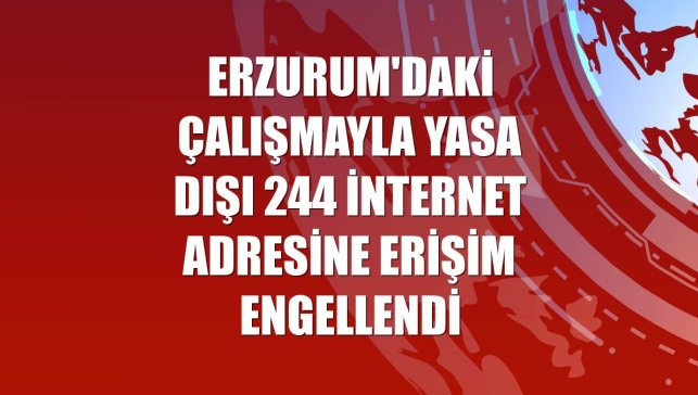 Erzurum'daki çalışmayla yasa dışı 244 internet adresine erişim engellendi