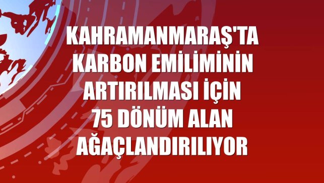 Kahramanmaraş'ta karbon emiliminin artırılması için 75 dönüm alan ağaçlandırılıyor