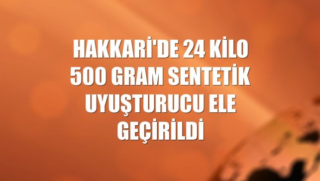 Hakkari'de 24 kilo 500 gram sentetik uyuşturucu ele geçirildi