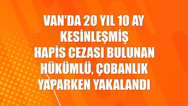 Van'da 20 yıl 10 ay kesinleşmiş hapis cezası bulunan hükümlü, çobanlık yaparken yakalandı