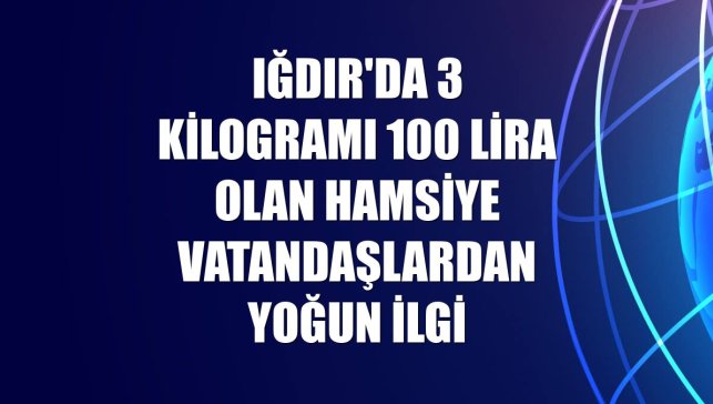 Iğdır'da 3 kilogramı 100 lira olan hamsiye vatandaşlardan yoğun ilgi