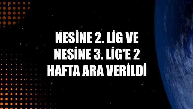 Nesine 2. Lig ve Nesine 3. Lig'e 2 hafta ara verildi