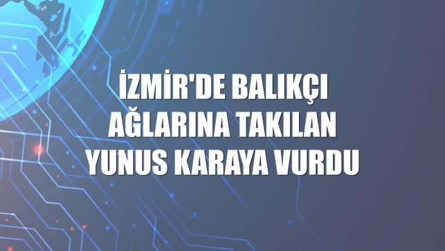 İzmir'de balıkçı ağlarına takılan yunus karaya vurdu