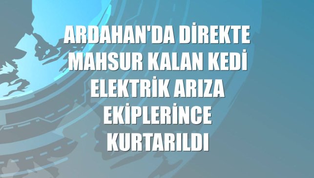 Ardahan'da direkte mahsur kalan kedi elektrik arıza ekiplerince kurtarıldı
