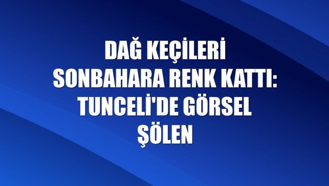 Dağ keçileri sonbahara renk kattı: Tunceli'de görsel şölen