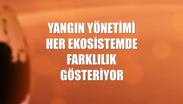Yangın yönetimi her ekosistemde farklılık gösteriyor