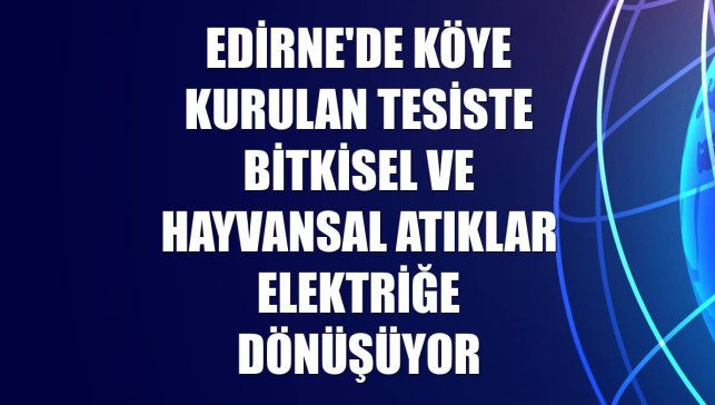 Edirne'de köye kurulan tesiste bitkisel ve hayvansal atıklar elektriğe dönüşüyor