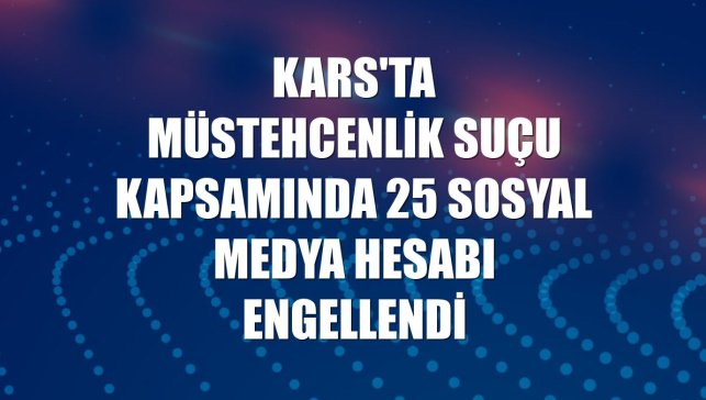 Kars'ta müstehcenlik suçu kapsamında 25 sosyal medya hesabı engellendi