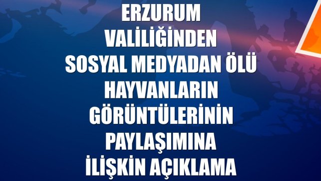 Erzurum Valiliğinden sosyal medyadan ölü hayvanların görüntülerinin paylaşımına ilişkin açıklama