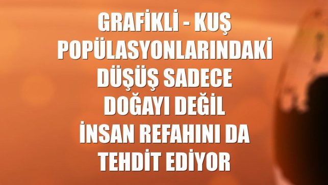 GRAFİKLİ - Kuş popülasyonlarındaki düşüş sadece doğayı değil insan refahını da tehdit ediyor