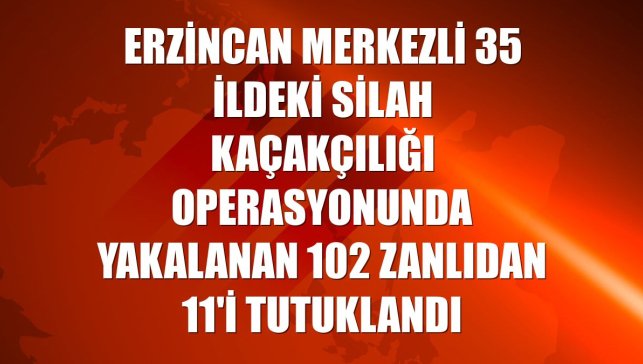 Erzincan merkezli 35 ildeki silah kaçakçılığı operasyonunda yakalanan 102 zanlıdan 11'i tutuklandı