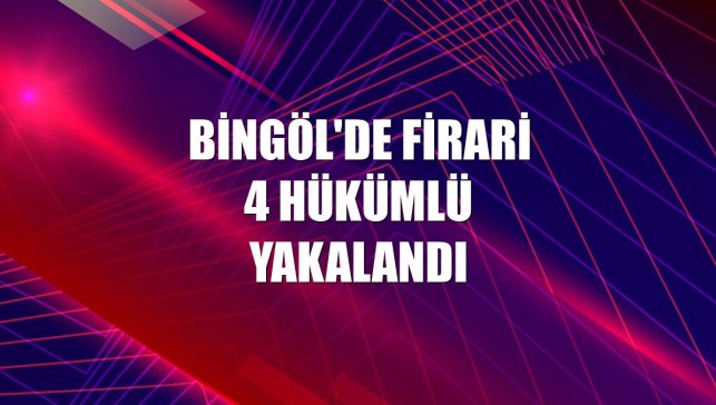 Bingöl'de firari 4 hükümlü yakalandı