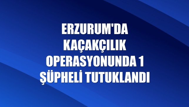 Erzurum'da kaçakçılık operasyonunda 1 şüpheli tutuklandı