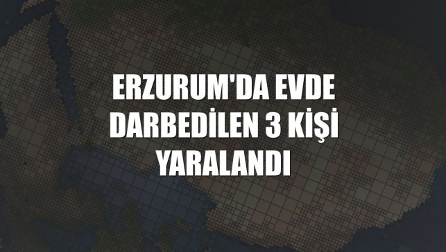 Erzurum'da evde darbedilen 3 kişi yaralandı