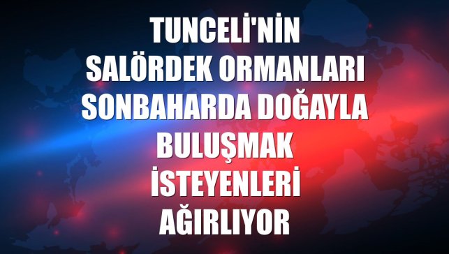 Tunceli'nin Salördek ormanları sonbaharda doğayla buluşmak isteyenleri ağırlıyor