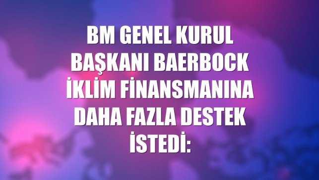 BM Genel Kurul Başkanı Baerbock iklim finansmanına daha fazla destek istedi: