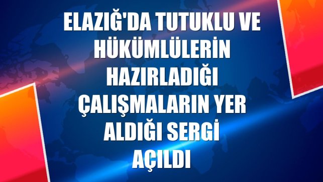 Elazığ'da tutuklu ve hükümlülerin hazırladığı çalışmaların yer aldığı sergi açıldı