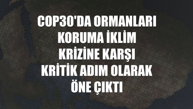 COP30'da ormanları koruma iklim krizine karşı kritik adım olarak öne çıktı