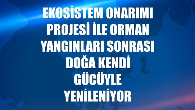 Ekosistem Onarımı Projesi ile orman yangınları sonrası doğa kendi gücüyle yenileniyor