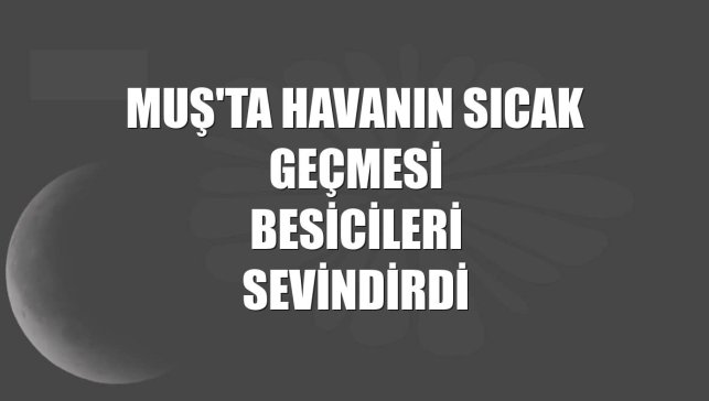 Muş'ta havanın sıcak geçmesi besicileri sevindirdi