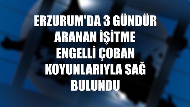 Erzurum'da 3 gündür aranan işitme engelli çoban koyunlarıyla sağ bulundu