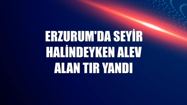 Erzurum'da seyir halindeyken alev alan tır yandı