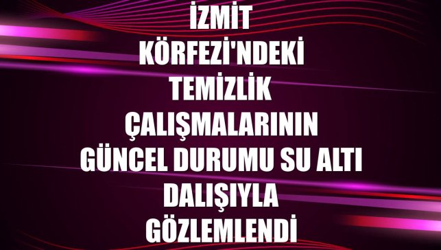 İzmit Körfezi'ndeki temizlik çalışmalarının güncel durumu su altı dalışıyla gözlemlendi