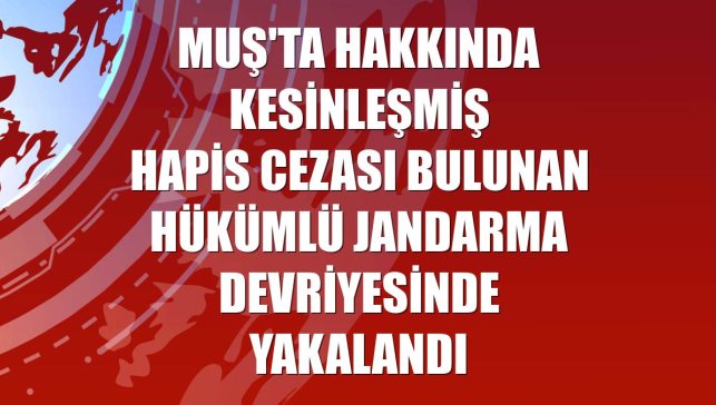 Muş'ta hakkında kesinleşmiş hapis cezası bulunan hükümlü jandarma devriyesinde yakalandı