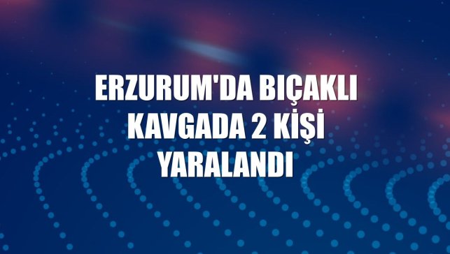Erzurum'da bıçaklı kavgada 2 kişi yaralandı